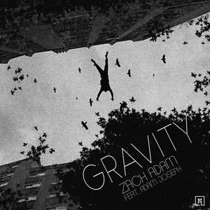 Gravity