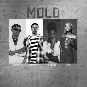 Molo