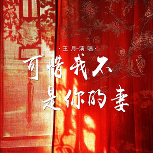 可惜我不是你的妻