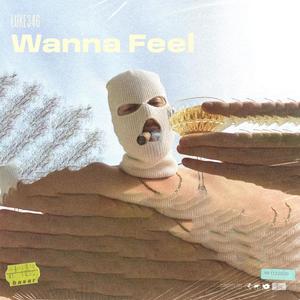 Wanna Feel