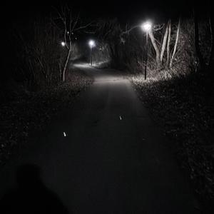 JUNGE EINZELGÄNGER (Explicit)