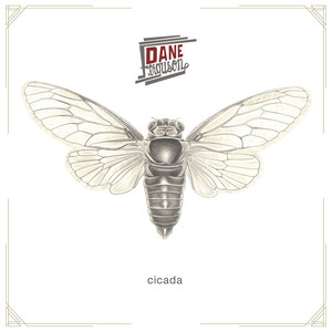 Cicada