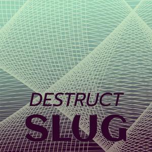 Destruct Slug