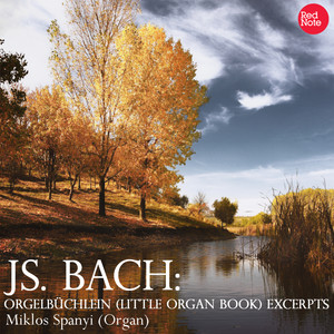 Orgelbüchlein (Little Organ Book), BWV 622 - Lent - O Mensch, bewein dein Sünde groß