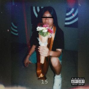 15 (Explicit)