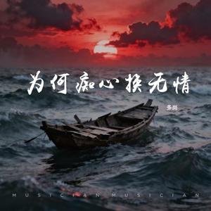 为何痴心换无情