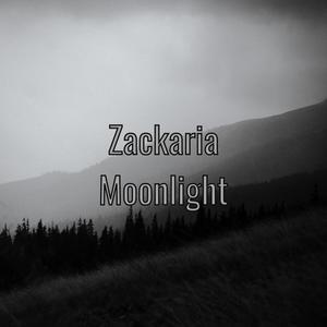 Moonlight (Radio Edit)
