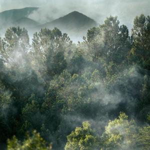 The Lord Is Good (Live)