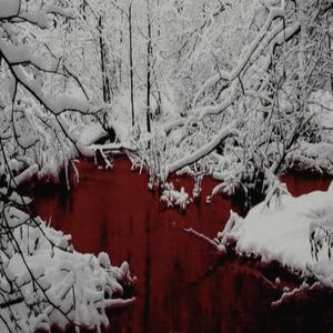 ride or die (Explicit)