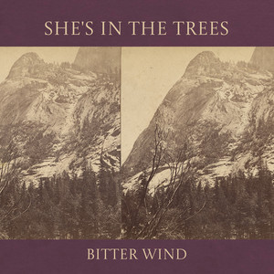 Bitter Wind (First Version)