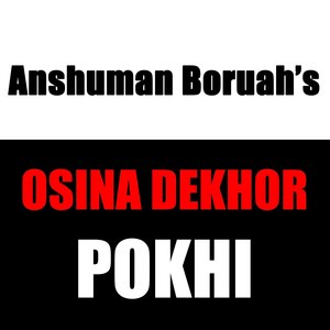 Osina Dekhor Pokhi