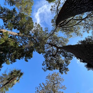 Dans la trap (tay20k) (Explicit)