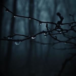 Lose Me (feat. PurqleSprite) (Explicit)