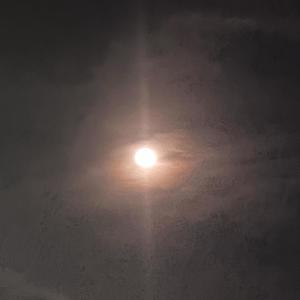 ya no me quieres (Freestyle)