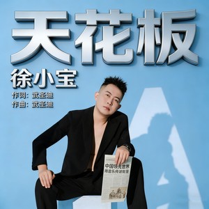 徐小宝 - 天花板