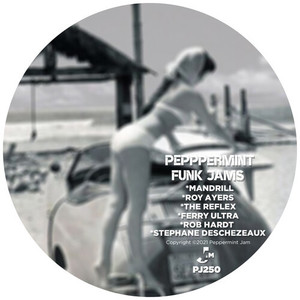 Dangerous Vibes (Mousse T's R&B Mix)