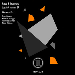 Lost In A Moment (Ryan Dupree, Kollektiv KlangGut Remix)