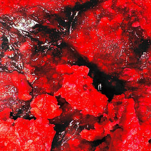 red (feat. DXRKGHXUL & BITTER KIDD) (Explicit)