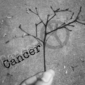 Cáncer