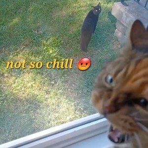 Not So Chill (Explicit)