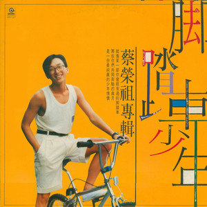 蔡荣祖 - 不要再爱我