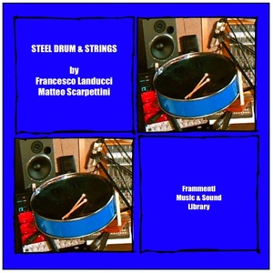 Steel Drum and Strings