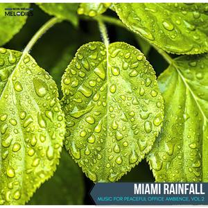 Miami Rainfall - Music for Peaceful Office Ambience, Vol.2