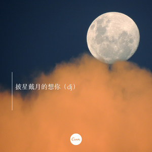 迷人的危险 (Remix)