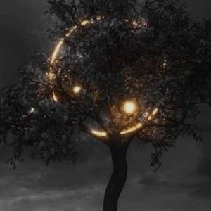 DB Coming (Explicit)