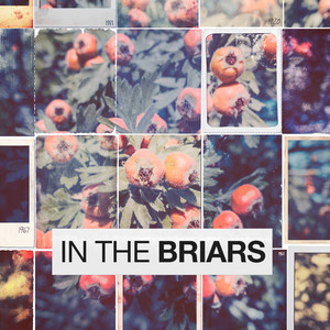 The Banks of New Foundland