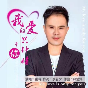 我的爱只钟情于你 (DJ版)