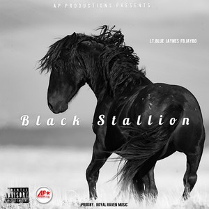 Black Stallion