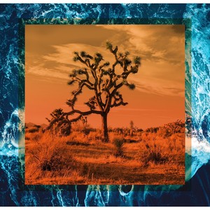 Won't Settle (Acoustic|Instrumental)