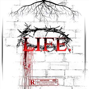 LIFE (feat. 8x Detroit) [Explicit]