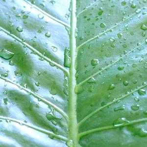 Respira (feat. Wan Sheipi)