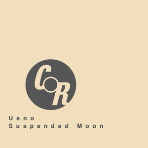 Suspended Moon