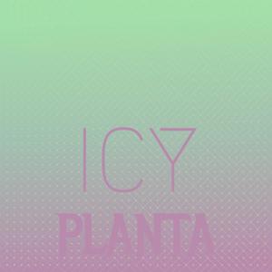 Icy Planta