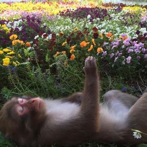 Recuerdos (feat. Henry Muñoz)