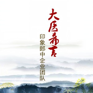 印象郎中团队 - 大医希言 (企业版)