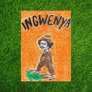 INGWENYA FREESTYLE (feat. uMenzii Sphuthukiz) [Explicit]