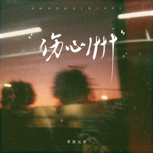伤心1999（忘了曾经拥有）