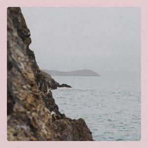 Companion for the Cold