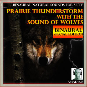 Binaural Natural Sounds for Sleep: Prairie Thunderstorm with the Sound of Wolves: 120 Minutes Special Edition