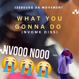 What You Gonna Do (NVO MK DISS) [Explicit]