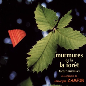 Murmures de la forêt (Forest Murmurs)