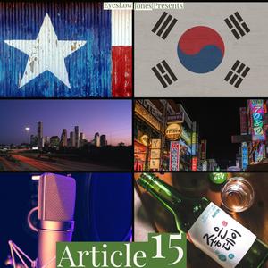 Article 15 (Explicit)