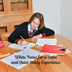 White Noise for a Calm and Quiet Study Experience