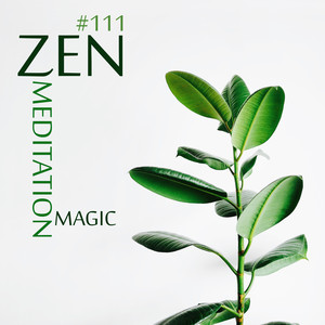 # 111: Zen Meditation Magic - Secrets to Finding Time for Peace of Mind Every Day, Sleep, Mindfulness, Yoga & SPA