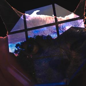 I_D0NT_BEL0NG (feat. fauxx) (Explicit)
