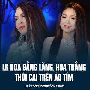 LK Hoa Bằng Lăng, Hoa Trắng Thôi Cài Trên Áo Tím